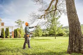 Best Tree Risk Assessment  in Weston, NJ